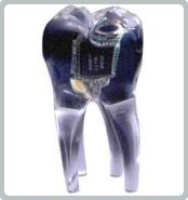 Dentures can cause tumors