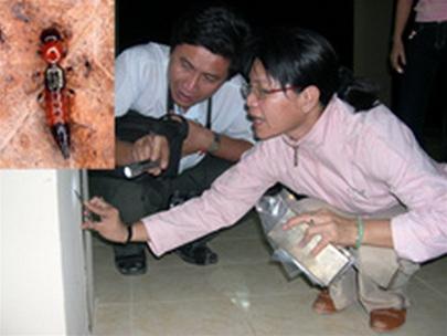 Dermatitis in students in some dormitories: Due to contact with plants and insects
