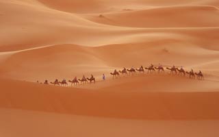 Desert and green planet invasion