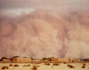 Desert climate