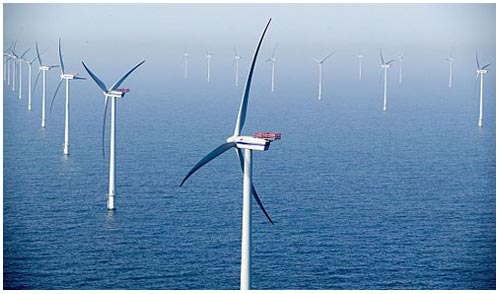 Design wind turbines based on whales and dolphins