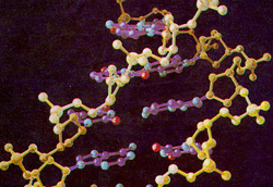 Detailed publication of the map of human gene variants