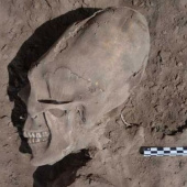 Detect strange skull