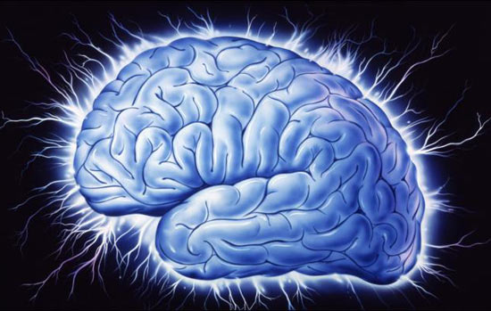 Detect the cortex to control guilt