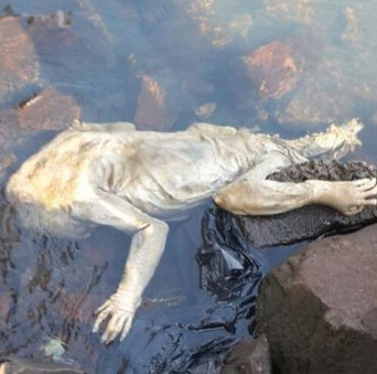Detect the mysterious creature that washed into Paraguay shore