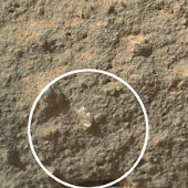 Detect tremors: Flowers bloom on Mars?