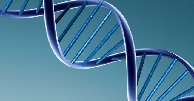 Detecting a bisexual thanks to DNA test for blood test