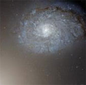 Detecting a black hole