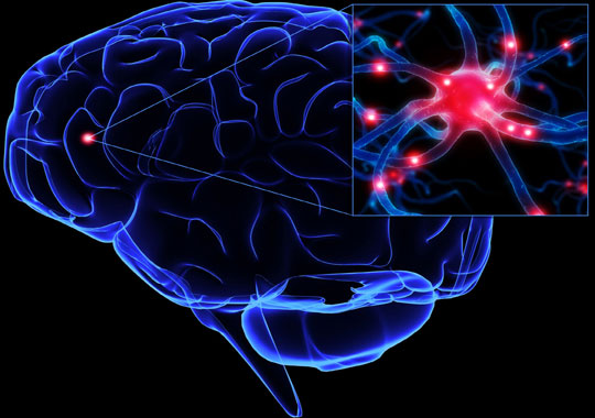 Detecting a cluster of proteins leads to 130 brain diseases