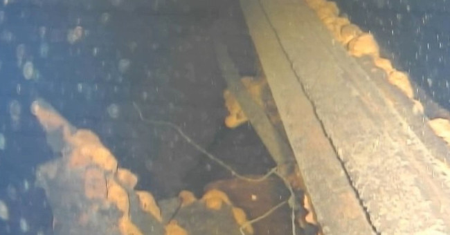 Detecting a molten nuclear fuel at Fukushima