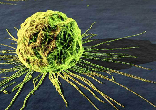 Detecting a protein that kills cancer cells