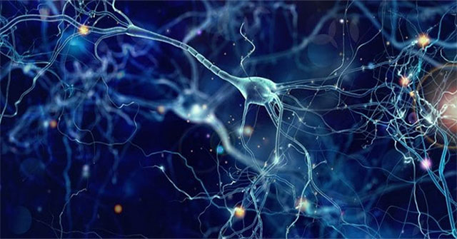 Detecting an enzyme can help prolong life