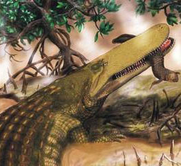 Detecting ancient crocodiles 11 meters long