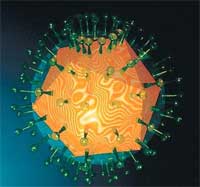 Detecting and controlling heroin addiction genes