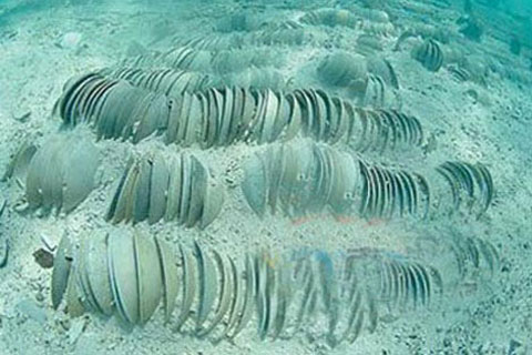 Detecting antiques at the bottom of Hoang Sa