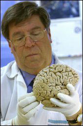 Detecting areas in the brain related to violence