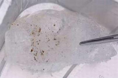 Detecting bacteria in ice can prove life on Mars