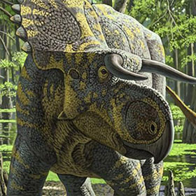 Detecting big nose dinosaurs, horn face