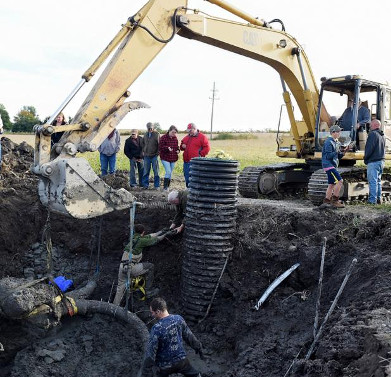 Detecting curly feather mammoths in soybean fields