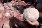 Detecting dinosaur eggs in India