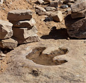Detecting dinosaur footprint 70 million years old