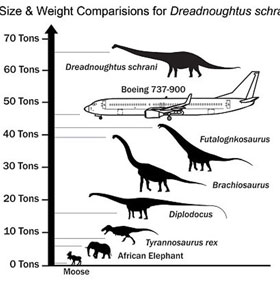 Detecting dinosaurs 26m long, weighing 65 tons