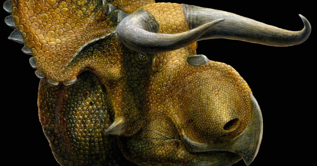 Detecting dinosaurs like bulls