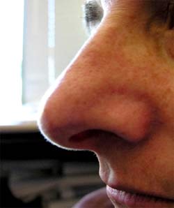 Detecting environmental pollution by ... nose