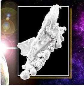 Detecting extraterrestrial creatures?