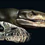 Detecting fossil crocodile bones dating back 140 million years