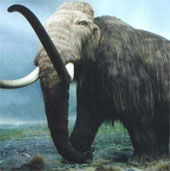 Detecting fossil mammoths along the river