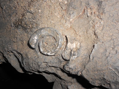 Detecting fossilized sea shells in Thien Duong cave