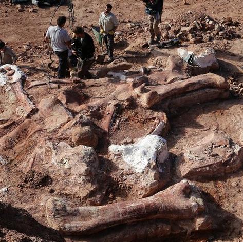 Detecting fossils dinosaurs across the 7-storey building