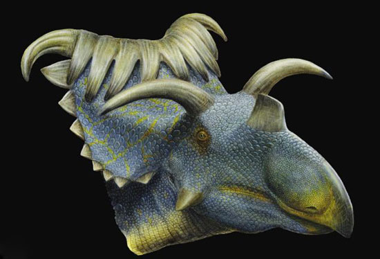 Detecting fossils of 2 new horned dinosaurs
