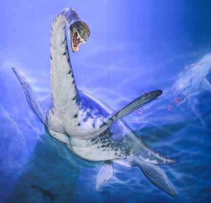 Detecting fossils of the snakehead dragon