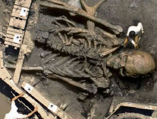 Detecting giant bones as high as 3m