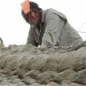Detecting giant dinosaur tails dating back 72 million years