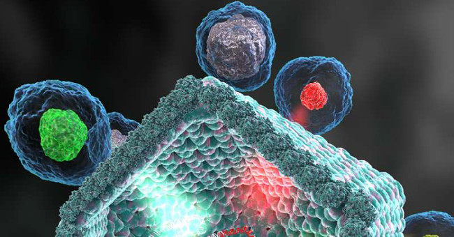 Detecting giant viruses raises the question of what is life?