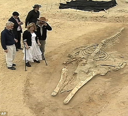 Detecting graveyards of 75 whales in the desert