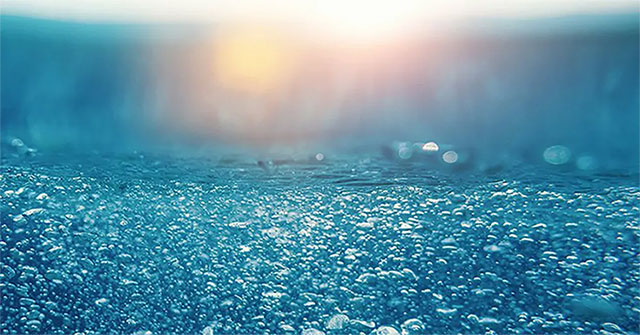 Detecting microorganisms that live on ... 'arsenic' in the Pacific Ocean