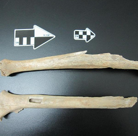 Detecting modern human individual fossils 40,000 years old