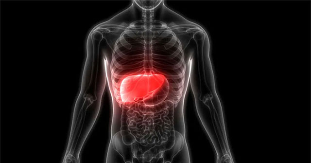 Detecting new cells can regenerate the liver