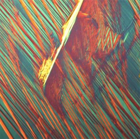 Detecting new transformation metal