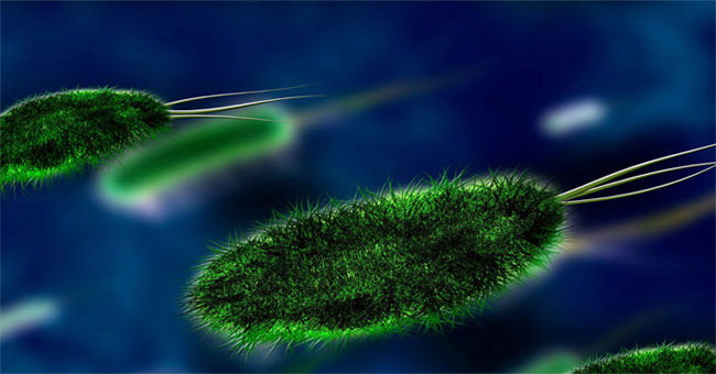 Detecting parasites that cause