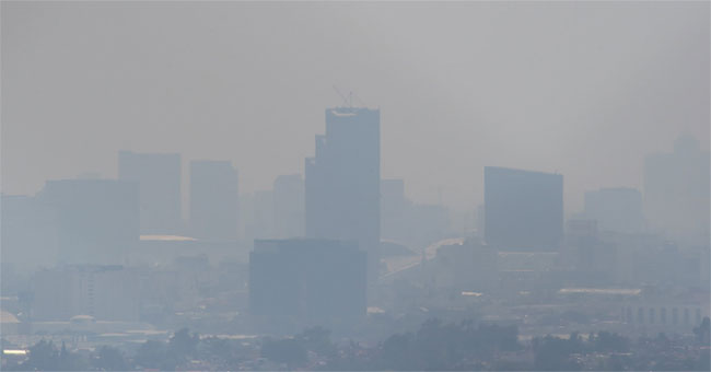 Detecting pollution dust attacking the brain