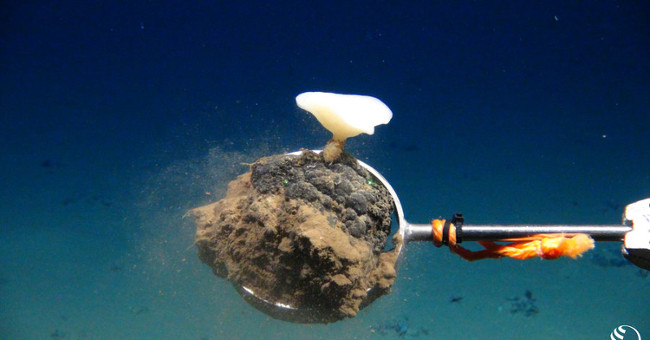 Detecting precious material mines used as solar cells under the seabed