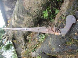 Detecting rare weapons of Phan Dinh Phung insurgents