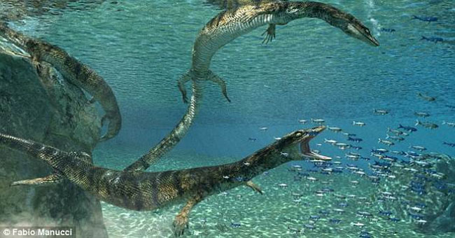 Detecting sea lizard fossils 75 million years