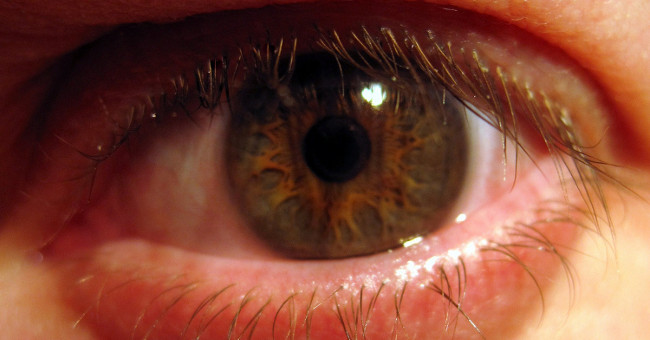 Detecting shock: In the eyes of 1 microbial community exists