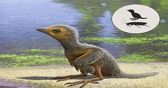 Detecting small birds like grasshoppers living with dinosaurs